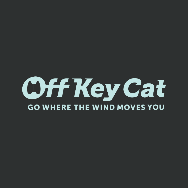Off Key Cat